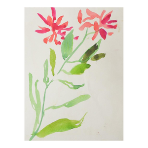 Early 20th Century Pink Flower Study Watercolor Painting