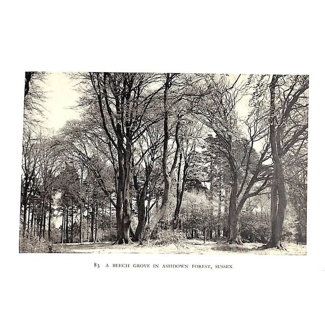 1930s "Rural England: A Survey of Its Chief Features" 1939 Massingham, h.j. For Sale - Image 5 of 10