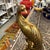 Gilt Syroco Peacock Tabletop Sculpture For Sale In Miami - Image 6 of 6