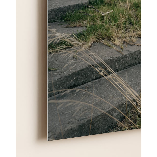 Once Was by Mark Forbes – Framed & Ready-to-Hang Limited Edition Photograph on Metal For Sale - Image 4 of 7