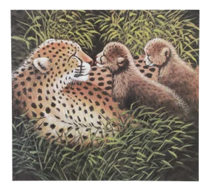 Caroline Schultz, "Cheetah Love", Photorealist Animal Print