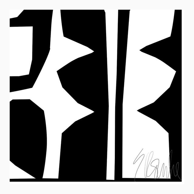 Not Yet Made - Made To Order White on Black Forest Fine Art Print 16" X 20" by Liz Roache For Sale - Image 5 of 6