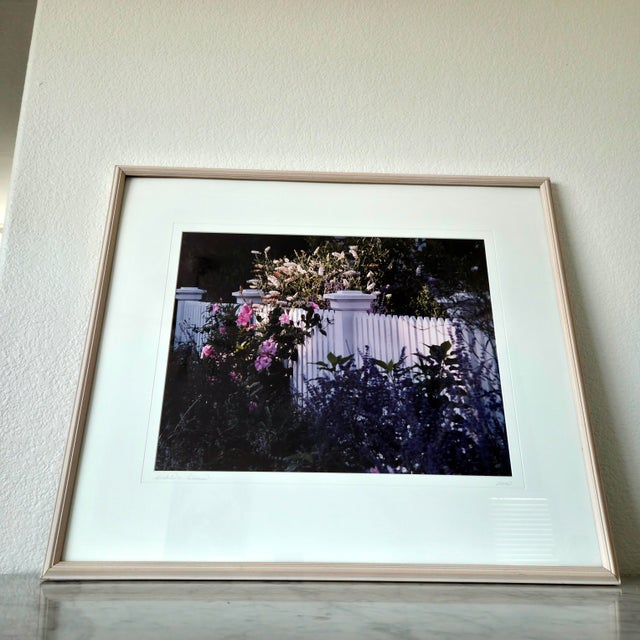 Charming vintage floral landscape artwork titled “Pickets & Hibiscus,” signed by Muren. The vibrant, sunlit cottage garden...