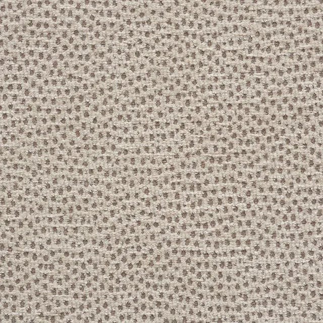 Sample - Schumacher Stingray Fabric in Zinc For Sale