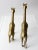 Mid Century Brass Giraffes Pair For Sale - Image 12 of 13