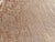 Almond Antique French Linen Damask Fabric, 86" × 84" — Natural Écru Tonal Weave | Tablecloth, Bed Cover or Drapery For Sale - Image 8 of 11