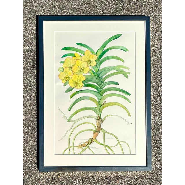 This exquisite original botanical watercolor captures the delicate beauty of a yellow Vanda orchid with masterful...