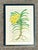 This exquisite original botanical watercolor captures the delicate beauty of a yellow Vanda orchid with masterful...