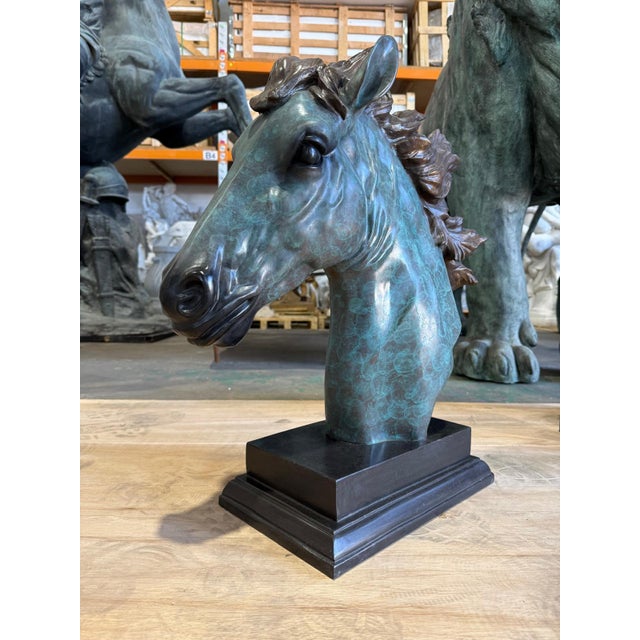 Patinated Horse Head Bust, Bronze For Sale - Image 6 of 8