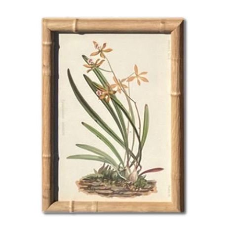 Antique Botanical Chromolithographs — “Wild Flowers of America”, Volume I, L. Prang & Co., Boston (C. 1877) Set of 13 For Sale - Image 10 of 17
