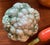 English Vintage Trompe‑L’Oeil Majolica Hand Painted Faux Vegetables From Italy. Set of 6 for French Country, Cottage Core, English and Italian Decor For Sale - Image 3 of 11