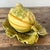 Embrace the charm of the French countryside with this exceptional vintage majolica Sarreguemines lidded melon bowl. This...