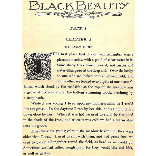 "Black Beauty: The Autobiography of a Horse" 1929 Sewell, Anna For Sale - Image 4 of 13