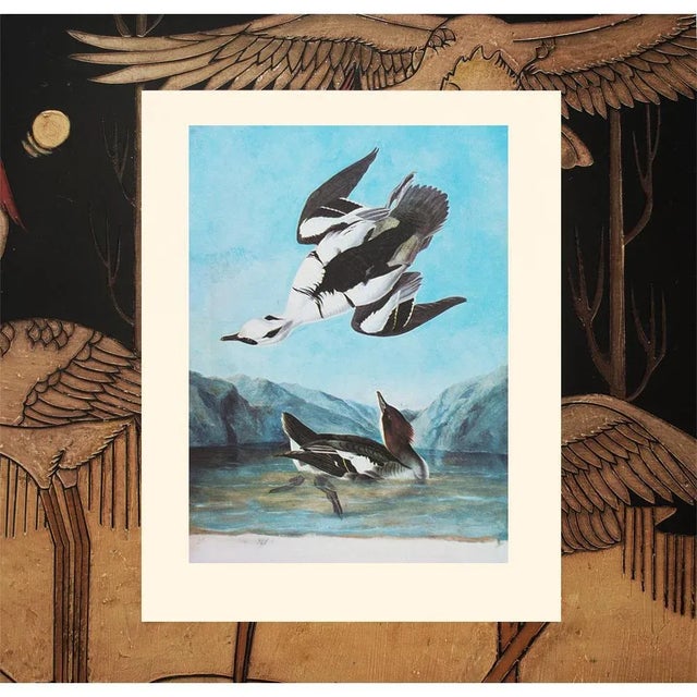 Paper 1966 Vintage Cottage Print "Smew Tern" by John James Audubon For Sale - Image 7 of 8