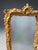 Rococo Rococo French Ornate Gilt Pier Mirror For Sale - Image 3 of 4