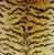 Hollywood Regency Scalamandre Le Tigre Tiger Silk Feather/Down Pillow 23" Square For Sale - Image 3 of 7
