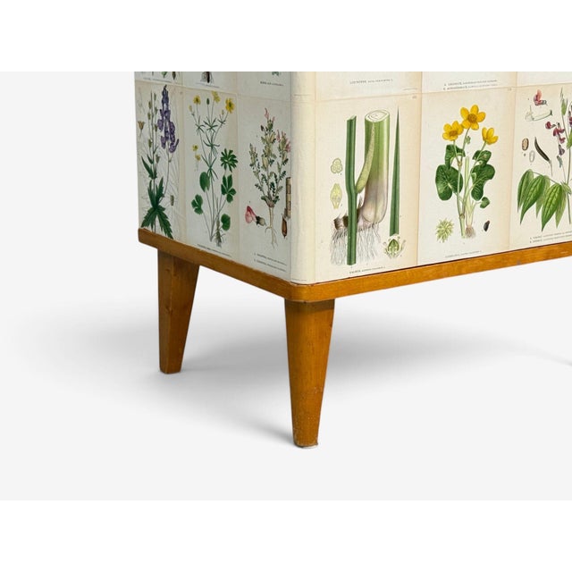 Swedish Modern, Nordens Flora Cabinet, Birch, Floral Lithographs, Sweden, 1940s For Sale - Image 9 of 13