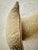 2020s Rectangle Lee Industries Antelope Pillows- A Pair For Sale - Image 5 of 6