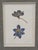 Textile Framed Pair of Pressed Blue Delphinium Flowers For Sale - Image 7 of 9