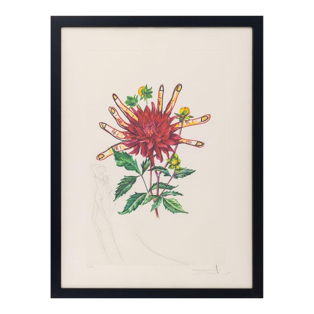 Salvador Dali "Dahlia (Fingers)" Etching, 1972 For Sale