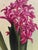 Contemporary 1970s Vintage Oil on Canvas Painting of Hyacinths For Sale - Image 3 of 6