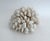 Large Natural Cluster Coral Specimen Coastal Decor For Sale - Image 4 of 6