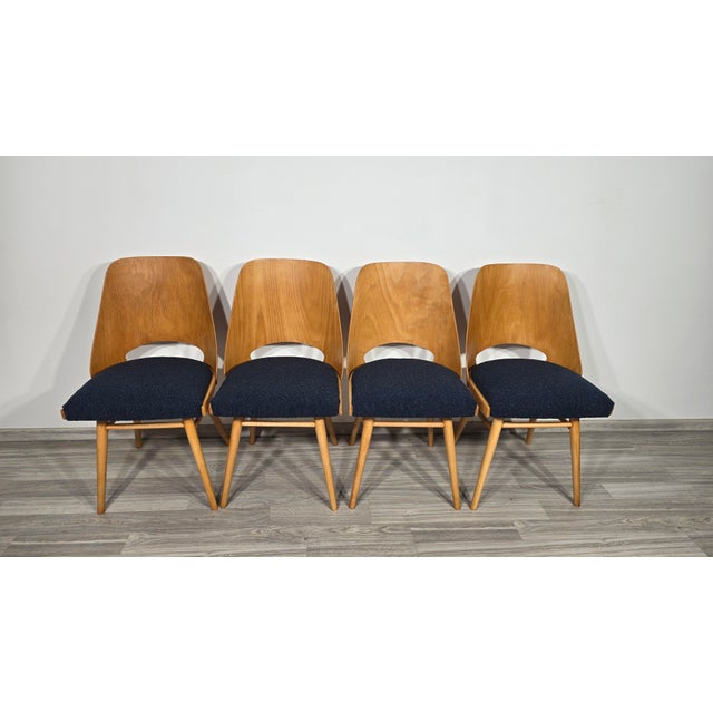 Wood Dining Chairs by Radomir Hoffman for Ton, 1950s, Set of 4 For Sale - Image 7 of 15