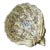United Wilson 1897 Chinese Porcelain Shell Bowl – Hand Painted Floral With Gold Accents, Hong Kong For Sale
