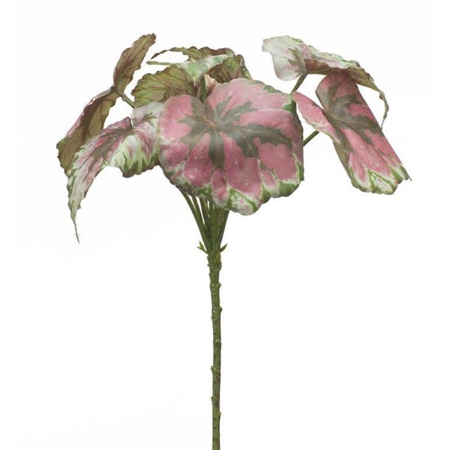 Bring the beauty of nature into your home with the Variegated Begonia Leaf Bush Set. Featuring a vibrant combination of...