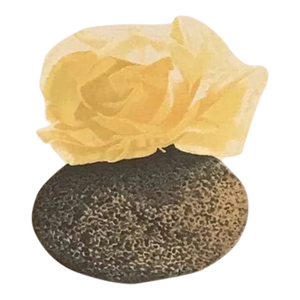 1989 Anne Hausner Signed Original Lithograph Hinauf