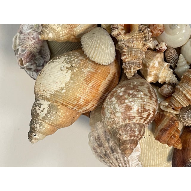 Antique Sea Shell Grotto Encrusted Mirror Frame Distressed For Sale In Miami - Image 6 of 7