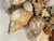 Antique Sea Shell Grotto Encrusted Mirror Frame Distressed For Sale In Miami - Image 6 of 7