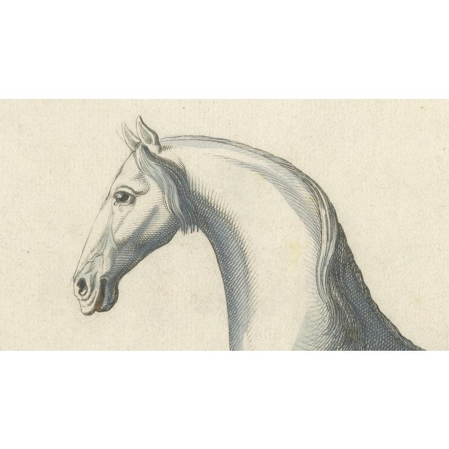 Baron Eisenberg, L'Arabe, 1727, Engraving For Sale - Image 4 of 11