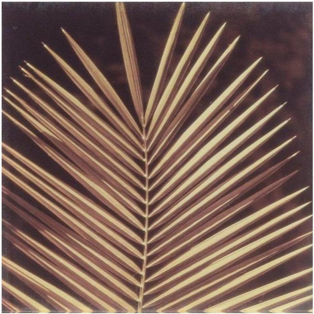 Decorative Art Glass Work with Palm Leaf, Late 20th Century For Sale