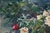 Realism Oil Painting Peonies Shapovalov Anatoly Gavrilovich For Sale - Image 3 of 8