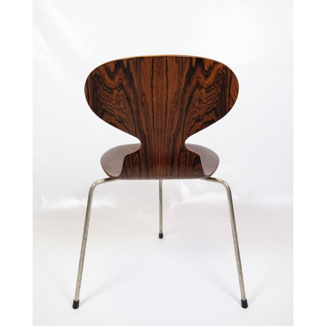 Ant Chairs Model 3101 in Rosewood by Arne Jacobsen for Fritz