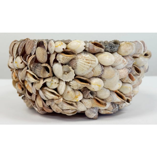 Ceramic Vintage Shell Encrusted Terra Cotta Pot For Sale - Image 7 of 10
