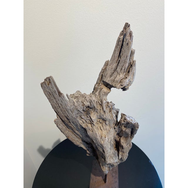 Abstract Driftwood Decoration For Sale - Image 4 of 5