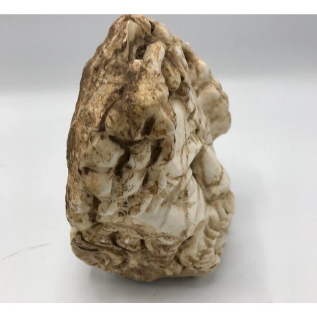 This heavy resin head is made to look like an ancient stone head sculpture antiquity which has fallen from its body. These...