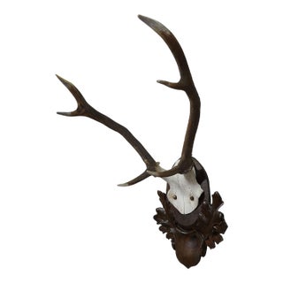 Large Black Forest Stag Trophy on Carved Plaque - Germany 1900s For Sale