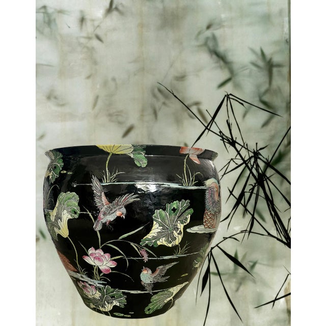 Wood Huge Chinese Famille Noire Black Porcelain Jardiniere, Mandarin Ducks, Birds & Lotus Pond Goldfish Bowl Planter, Signed, Hong Kong For Sale - Image 7 of 14