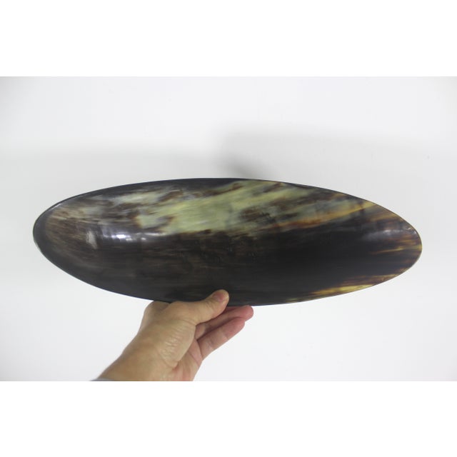 Vintage Horn Bowl, Natural Trinket Dish or Catchall For Sale - Image 12 of 12