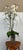 Silk Flower Arrangement of Orchids in Vase For Sale In San Francisco - Image 6 of 12
