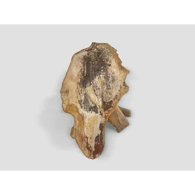 Andrianna Shamaris Live Edge Petrified Wood Coffee Table with Organic Teak Base For Sale - Image 16 of 18