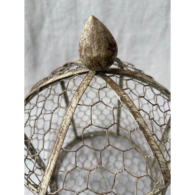 Vintage Indoor Wire Birdcage Garden Cloche For Sale - Image 4 of 17