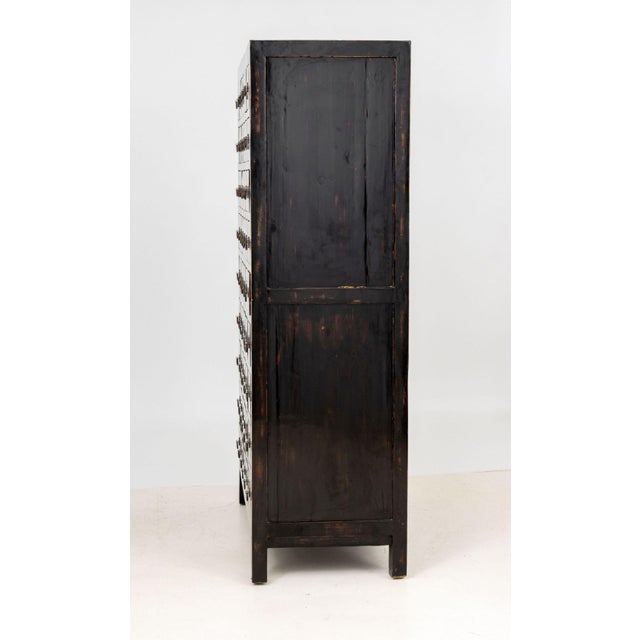 Chinese Apothecary Cabinet, 19th Century For Sale - Image 10 of 11