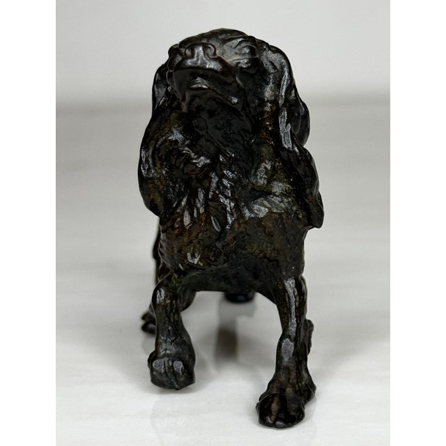 1900 - 1909 Antique Miniature Austrian Bronze Long Haired Dachshund Sculpture Circa 1900 For Sale - Image 5 of 18
