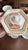 Rare Antique English Bone China Bat Printed Tea Service, by Ridgway, Pattern 1684/2, Circa 1830s - 22 pcs For Sale - Image 12 of 18