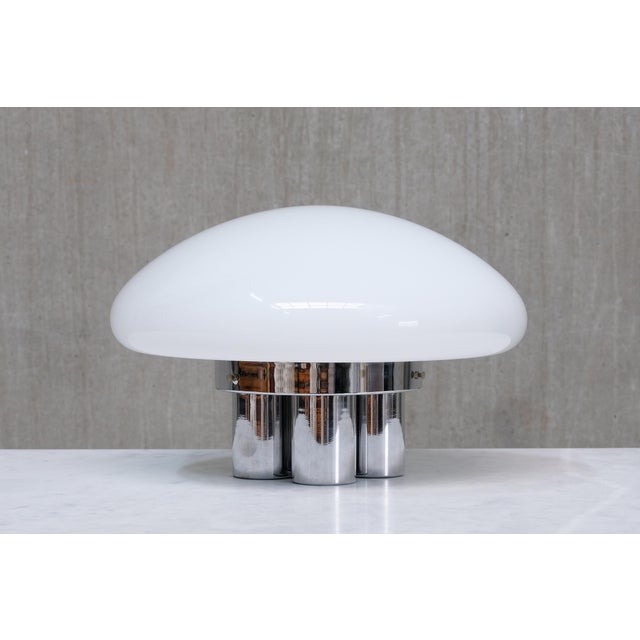 Magnolia Table Lamp by Sergio Mazza & Giuliana Gramigna for Quattrifolio, 1973 For Sale - Image 12 of 12