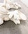 Stone Wall Brackets Regency Serge Roche Palm Motif For Sale - Image 7 of 13